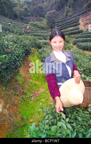 Jeune fille de ferme de thé smiling at camera dans ferme thé Longjing, Hangzhou, Province de Zhejiang, Chine Banque D'Images