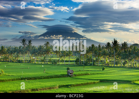 Un ciel dramatique au-dessus de la crête volcanique de Gunung Agung et les champs de riz, près de Ubud, Bali, Indonésie Banque D'Images