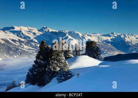 Un snowfalll frais sur les pentes au-dessus du village alpin de la Tzoumas,avec la vallée du Rhône, au-delà de la région du Valais, Suisse Banque D'Images