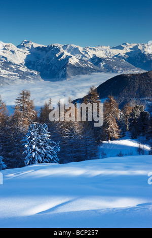 Un snowfalll frais sur les pentes au-dessus du village alpin de la Tzoumas,avec la vallée du Rhône, au-delà de la région du Valais, Suisse Banque D'Images