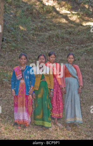 Indian Woman gathering moss dans la forêt, himalayens, Foothills, stations de montagne, l'Alai, l'Uttaranchal, le nord-est de l'Inde Banque D'Images