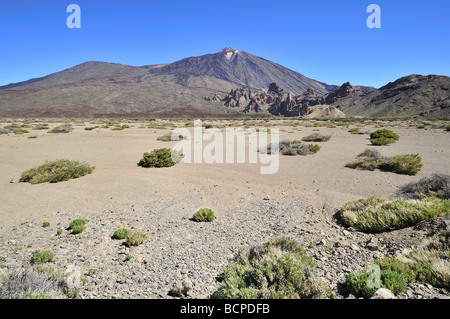 Pic de Teide à Ténérife Banque D'Images