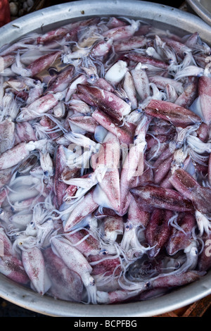 Dans Squid Market Stall Phnom Penh Cambodge Banque D'Images