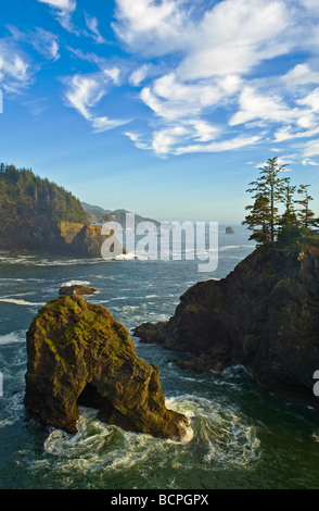 Côte de l'Oregon au sud du point de vue des ponts naturels Samuel H Boardman State Park Banque D'Images