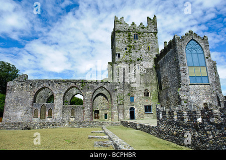 Abbaye de Tintern, comté de Wexford Banque D'Images