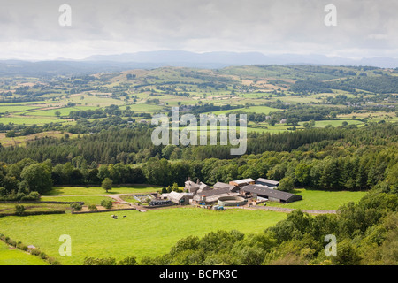 Barrowfield Farm en dessous du Scoutisme cicatrice sur la périphérie de Kendal en regardant vers le Lake District montagnes Cumbria UK Banque D'Images