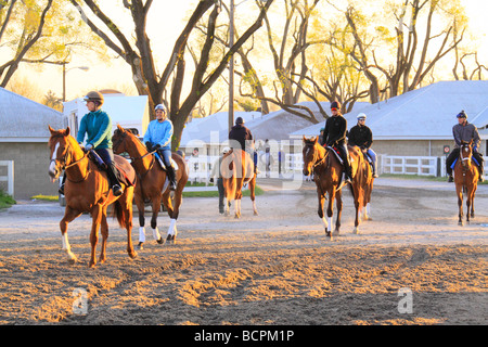 Exercer les cavaliers avec des chevaux de saisir la voie au petit matin d'entraînement à Keeneland Race Course Lexington Kentucky Banque D'Images