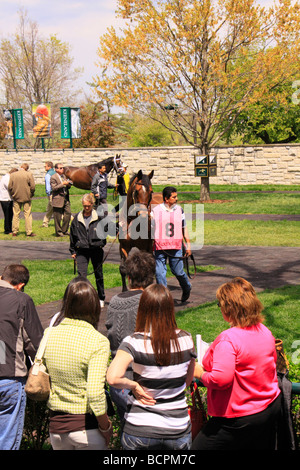 Spectateurs regarder comme pur-sang sont marcha dans le paddock avant une course Keeneland Race Course Lexington Kentucky Banque D'Images