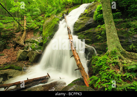 Crabtree Falls Blue Ridge Parkway en Virginie Banque D'Images