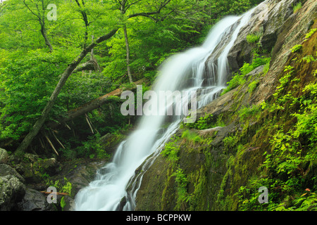 Crabtree Falls Blue Ridge Parkway en Virginie Banque D'Images