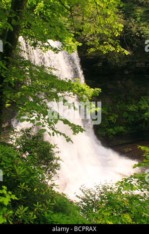 Cascade Cascades peu Stony Creek, Virginia Pembroke Banque D'Images