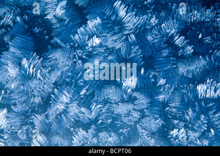 La Nouvelle-Zélande, Otago, Lake Wanaka. Les cristaux de glace formés par givre près des rives du Lac Wanaka Banque D'Images