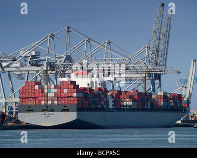 Le Humber Bridge Panama un très grand container transport enregistré navire amarré dans le port de Rotterdam Banque D'Images