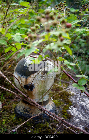 Rusty amarre bollard sur le côté d'une friche et envahi par dock de la Manchester Ship Canal à Warrington, England Banque D'Images