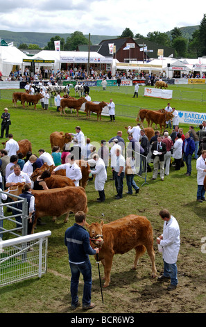 Le Royal Welsh Show, Builth Wells, Powys, Wales, UK Banque D'Images