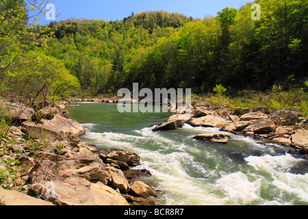 O W Cumberland River Grand Rapids South Fork River National Recreation Area et l'Oneida Florida Banque D'Images