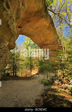 Arches double Big South Fork River National Recreation Area et South Carolina Banque D'Images