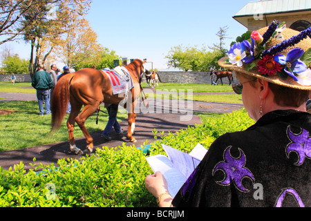 Spectateurs watch thoroughbreds réchauffer dans le paddock avant une course à Keeneland Race Course Lexington Kentucky Banque D'Images