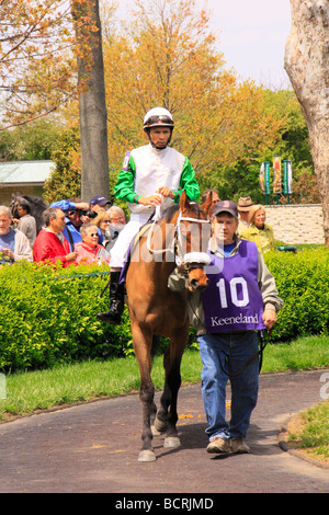 Un jockey chevauche son pur-sang du paddock sur la piste à Keeneland Race Course Lexington Kentucky Banque D'Images