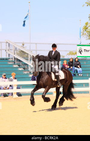 Démonstration de dressage lors de défilé de races Kentucky Horse Park Lexington Kentucky Banque D'Images