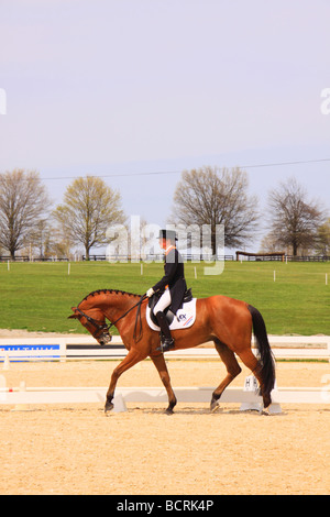 Le cheval et le cavalier au cours de compétition de dressage Trois Jours Rolex Kentucky Horse Park Lexington Kentucky Banque D'Images