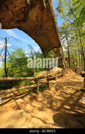 Randonneur sur trail sous le pont naturel Natural Bridge State Resort Park Slade Kentucky Banque D'Images