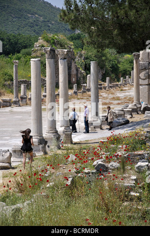 Rue à colonnades, ancienne ville d'Éphèse, Selcuk, province d'Izmir, République de Türkiye Banque D'Images