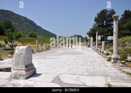 Rue à colonnades, ancienne ville d'Éphèse, Selcuk, province d'Izmir, République de Türkiye Banque D'Images