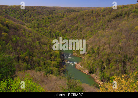 Vue depuis l'donnent sur Big South Fork River National Recreation Area et l'Oneida Florida Banque D'Images