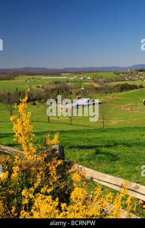 Scène de ferme Springhill vallée de Shenandoah en Virginie Banque D'Images