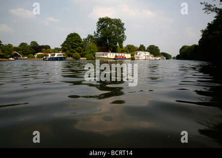 Taggs île au milieu de la Tamise, East Molesey, London, UK Banque D'Images