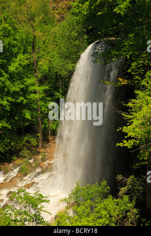 Falling Spring Falls Covington Virginia Banque D'Images