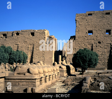 Temple d'Amon de Karnak voie processionnelle Sphinx tête Ram Premier pylône Luxor Egypte Banque D'Images