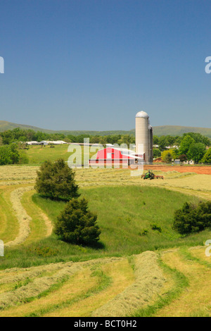 Agriculteur Mennonite sur tracteur tond hay field sur farm près de Dayton dans la vallée de Shenandoah en Virginie Banque D'Images