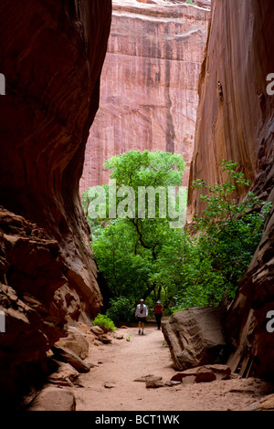 Le Burr Trail, une route allant de l'arrière-pays pittoresque de la montagne ville de Boulder au Capital Reef National Park, près de Escalante Banque D'Images