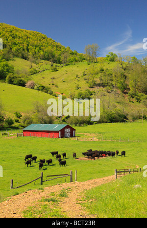 Dans l'ouest de la ferme Highland Comté Virginia Banque D'Images