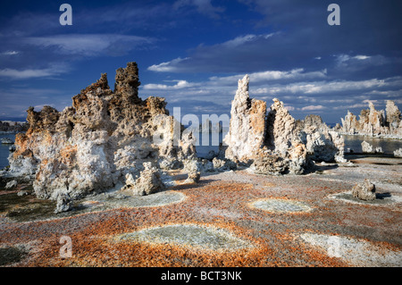 Les cercles rouges et tuf lac Mono en Californie Banque D'Images