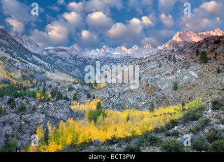 L'Est de la Sierra montagnes avec la couleur de l'automne au lever du soleil Inyo National Forest en Californie Cette image a un ciel ajouté Banque D'Images