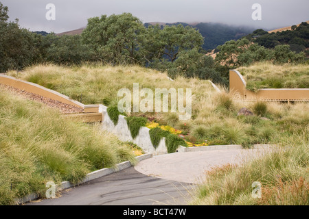 Grass meadow green roof garden pour la Californie accueil Banque D'Images