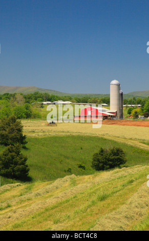 Agriculteur Mennonite sur tracteur tond hay field sur farm près de Dayton dans la vallée de Shenandoah en Virginie Banque D'Images