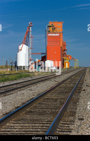 Pioneer Grain Silo à Vulcan, Alberta, Canada Banque D'Images