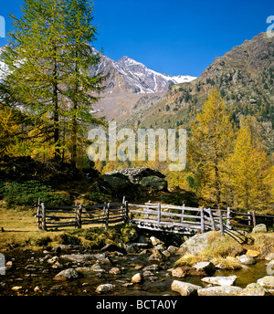 Sentier de randonnée, Weissbrunnalm, Oberes Ultental vally, montagnes Ortler, Tyrol du Sud, Italie, Europe Banque D'Images