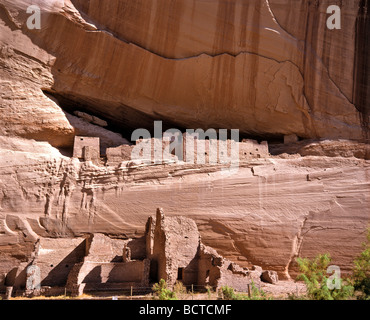 Mesa Verde, Cliff dwellings par les Anasazis, Cliff Palace, Colorado, USA Banque D'Images