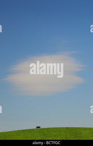 En vertu d'une vache nuage blanc solitaire swoope vallée de Shenandoah en Virginie Banque D'Images