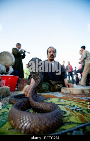 Un charmeur de serpent et son (toothless) cobra snake à Jamaa el Fna, la place principale de la vieille ville (médina) à Marrakech, Maroc. Banque D'Images