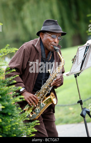 Musicien de rue, Jardin Public de Boston Banque D'Images