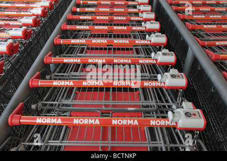 Poignées de Norma shopping carts en Allemagne, l'Europe. Photo par Willy Matheisl Banque D'Images