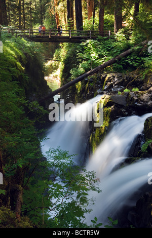 Sol Duc Falls Parc National Olympique dans l'État de Washington, USA Banque D'Images