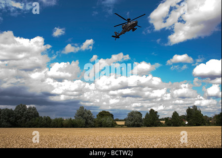 Hélicoptère Apache Army Air Corps formation britannique attaque Wattisham Boeing AH 64D champs de blé faible volant bas Suffolk Essex shoo Banque D'Images