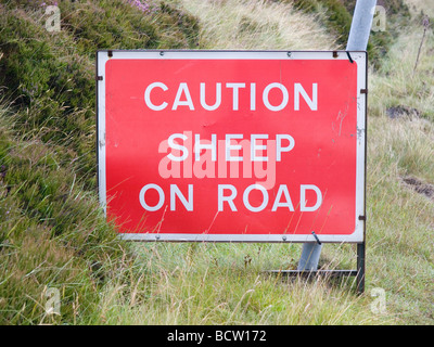 Inscrivez-Avertissement Attention Moutons sur route dans le North Yorkshire Moors Banque D'Images